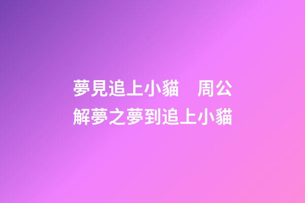 夢見追上小貓　周公解夢之夢到追上小貓